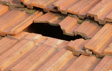 roof repair Chalbury, Dorset