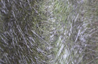 Chalbury fibreglass roof work